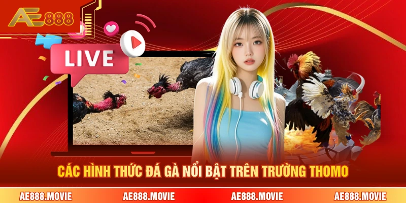 Các hình thức đá gà nổi bật trên trường Thomo
