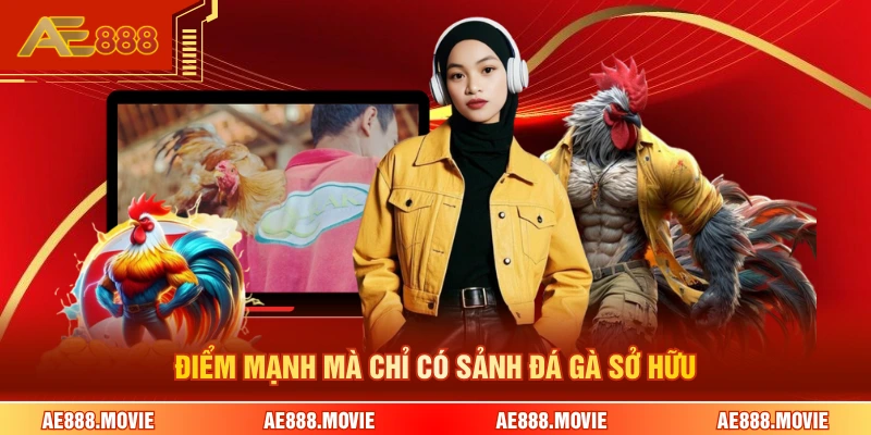 Điểm mạnh mà chỉ có sảnh đá gà sở hữu